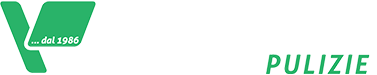vavassori pulizie